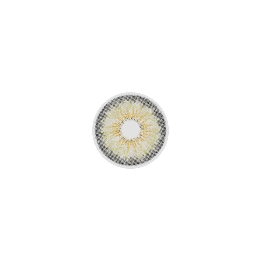 Veni Aroma Gray Color Contact Lenses