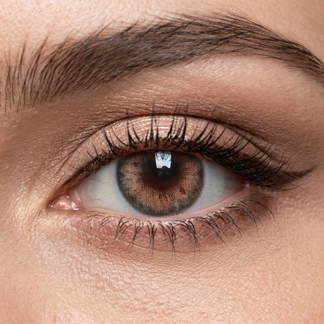 Veni Romona Brown Color Contact Lenses
