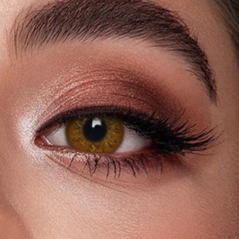 Veni Russain Brown VC-03