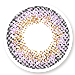 Veni Amethyst color contact lens VC-13