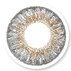 Veni Gray color contact lens VC-12