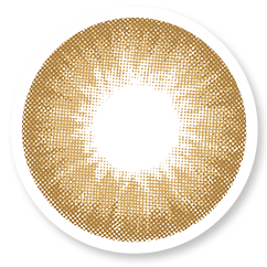 Veni Latte Colored Contact Lens – VC-25