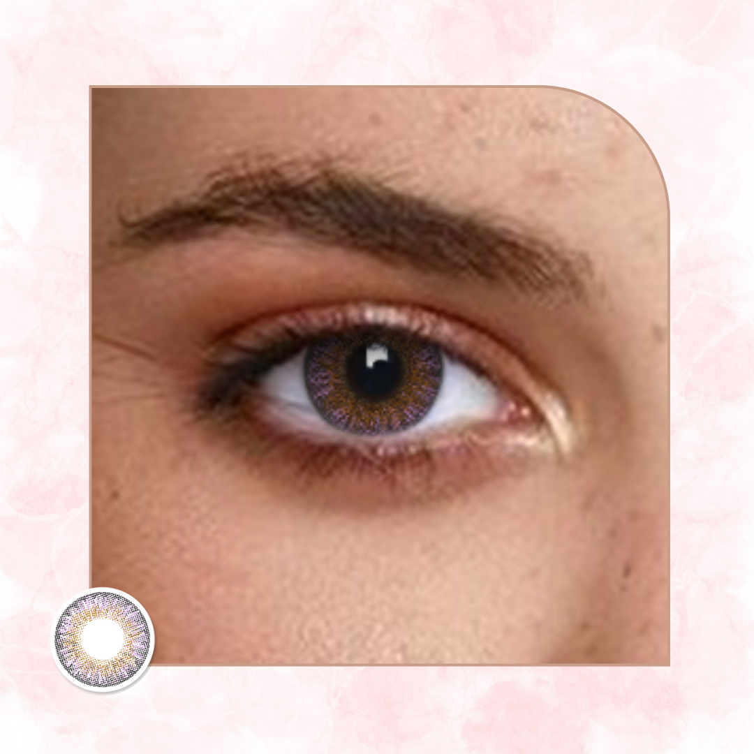 Veni Amethyst color contact lens VC-13