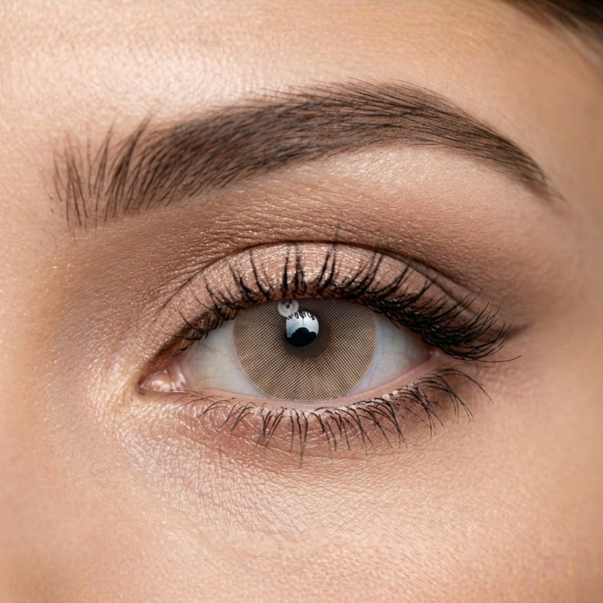 Veni Marble Colored Contact Lenses – VC-24
