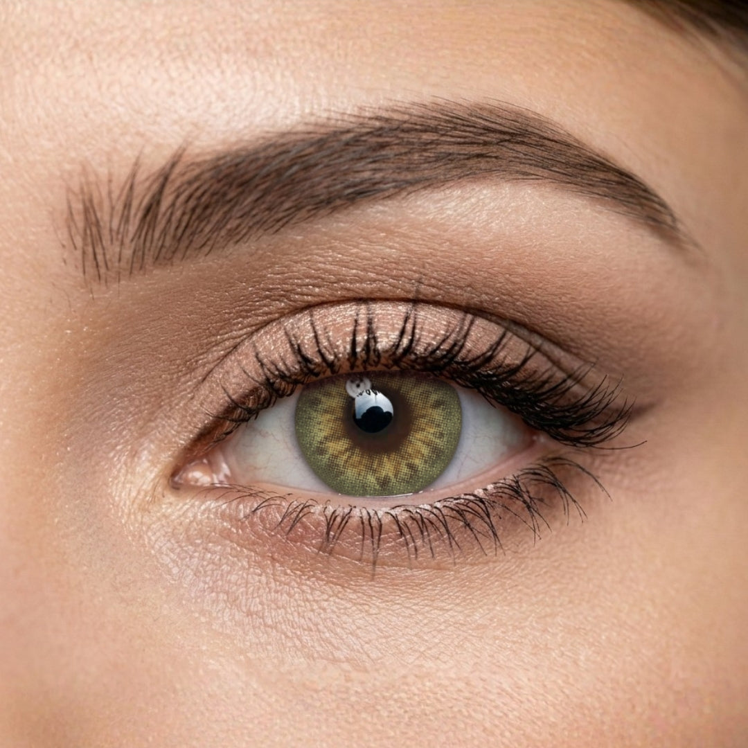 Veni Taylor Brown VC-04