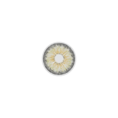 Veni Aroma Gray Color Contact Lenses