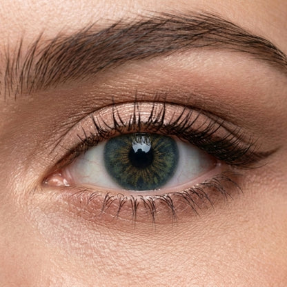 Veni Aroma Gray Color Contact Lenses