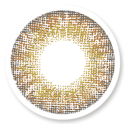 Veni Brown color contact lenses VC-11
