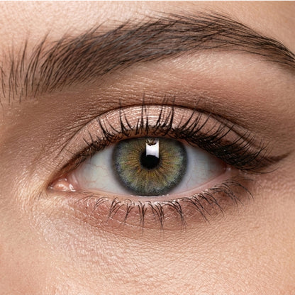 Veni Aroma Gray Color Contact Lenses