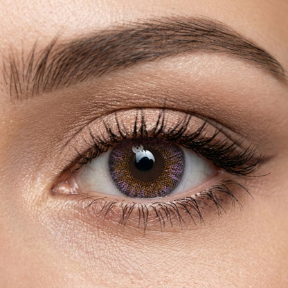 Veni Amethyst color contact lens VC-13
