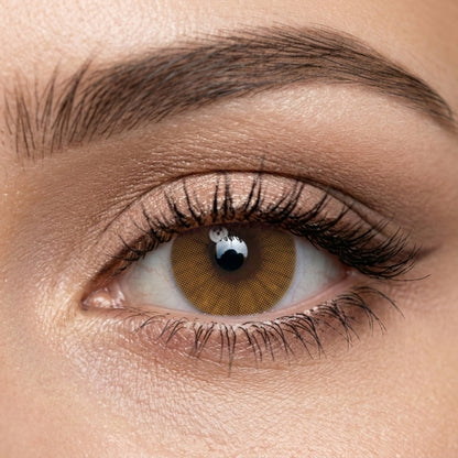 Veni Ocre color contact lens VC-17