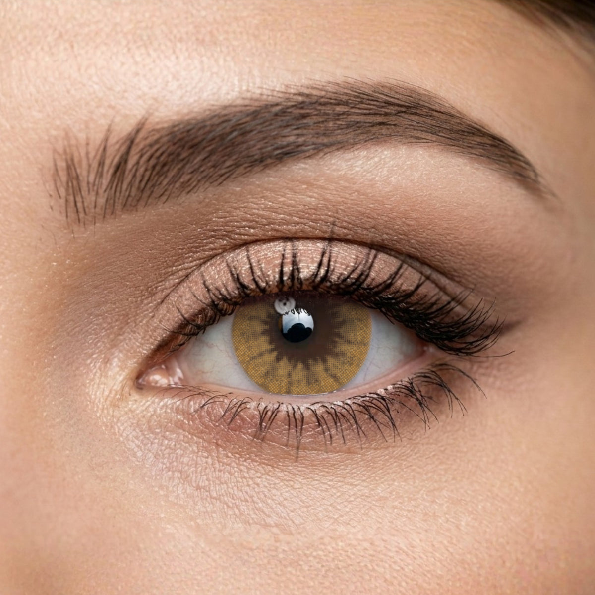 Veni Latte Colored Contact Lens – VC-25