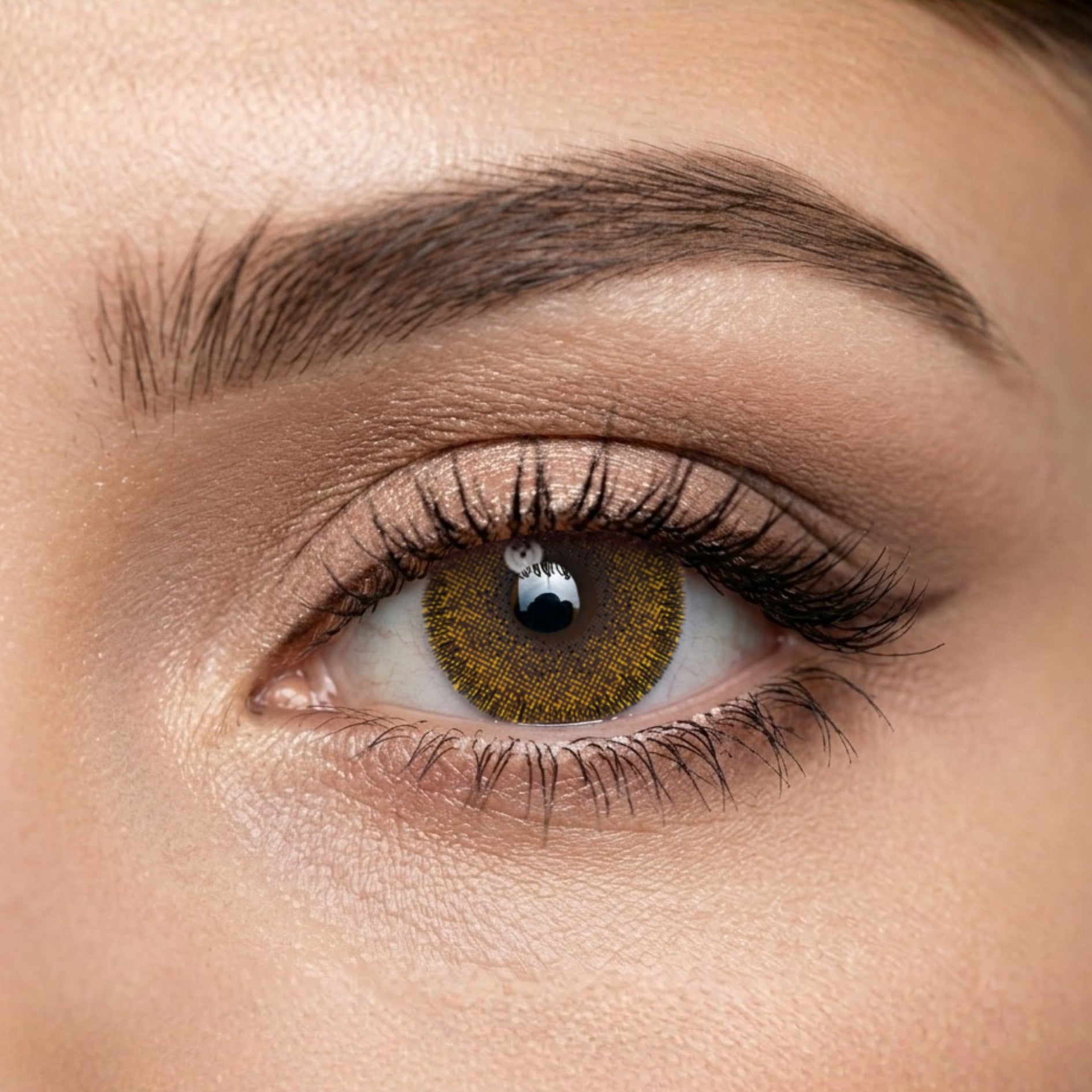 Veni Magic Hazel Colored Contact Lens – VC-28